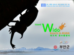 부안누에타운, 제22회 전문기획전 ‘위도의 장수풍뎅이’ 개최