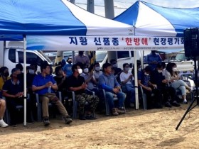 '정읍 지황' 약용작물연구회, 농촌진흥청 '우수 생산단지' 선정