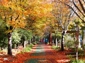 광주 남구, 푸른길 공원에 맨발길·청소년 쉼터 조성 등