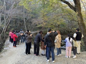 단풍과 노을여행…순천시티투어,  '가을빛 투어' 시작