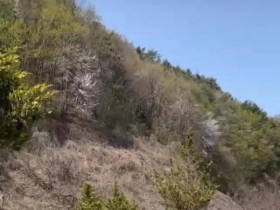 장수군, '전국 최장' 10km 메타세쿼이아길 조성...새 관광명소