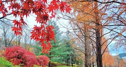 광주 남구 노대제 물빛근린공원, 도심 속 힐링 명소