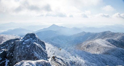 광양 백운산에 핀 눈꽃…‘탄성이 절로나는 아름다운 설경’