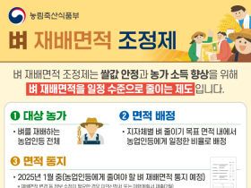 광양시, 쌀값 안정 위해 ‘벼 재배면적 조정제’ 추진한다