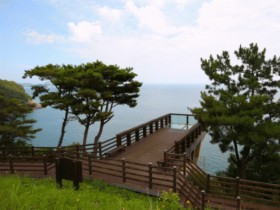 봄여행을 즐길수 있는 전남 산책 명소 TOP4 선정