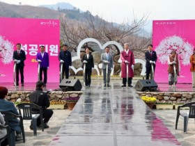 제24회 광양매화축제, 내주에 매화꽃 활짝 전망