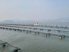 전남 수산물 생산액 3조5천억…1인당 1억원꼴