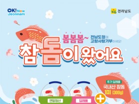 고향사랑기부하면 전남 봄철 별미 참돔이 덤으로