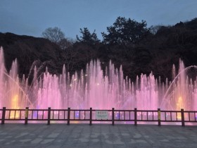 여수 오동도 음악분수 운영 재개…17일 부터