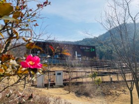 '숲속 걷기, 싱잉볼 명상 등…' 무안 물맞이 치유의 숲 오픈