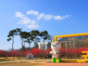 구례 섬진강 수달생태공원 홍매화 만개