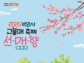 대한민국 4대 매화, "장성 백양사 고불매 축제"…29~30일 개최