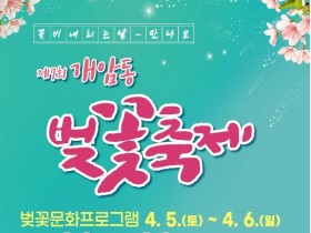 꽃비 내리는 날, 부안군, '제7회 개암동 벚꽃축제' 개최