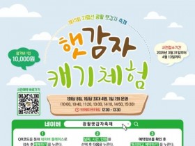 '포슬포슬 햇감자 캐요~' 김제 지평선 광활 햇감자 축제