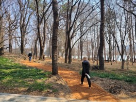 편백나무 숲 사이를 맨발로 걸어요…김제시 수변공원