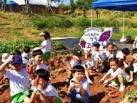 '계절별 농업체험'…광주농업기술센터, 어린이 생태체험 무료 운영