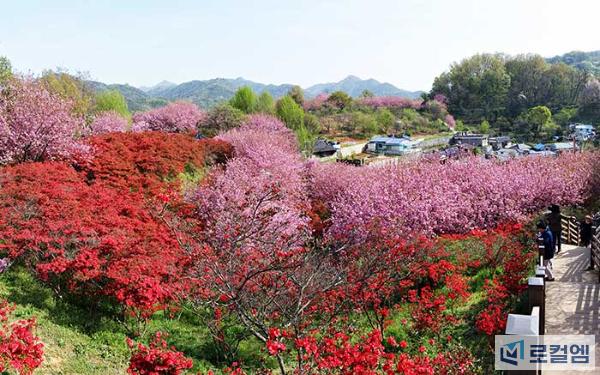 완산공원꽃동산.jpg