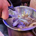 [로컬맛집]제철 알배기 주꾸미, 광주 화정동 왕대박삼순이네 탐방기