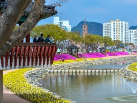 수선화·튤립 등 70만본 활짝…순창 양지천 산책로에 봄꽃만개