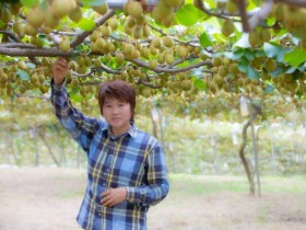 4월 친환경농산물에 전남 진도산 유기농 키위 선정