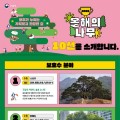 산림청, '2025 올해의 나무' 선정