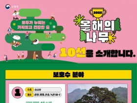 산림청, '2025 올해의 나무' 선정