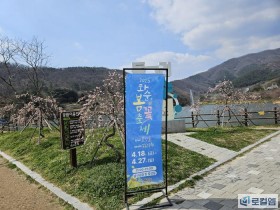 봄꽃과 음악이 어우러진 화순봄꽃축제 총정리