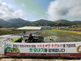 풍년기원 보성 ‘웅치 올벼쌀’ 첫 모내기 시작