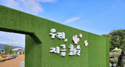 화순 봄꽃축제, 로이킴·황가람 공연과 유채꽃 포토존까지 한눈에