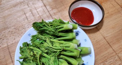 두릅, 제대로 알고 먹자… 산두릅과 땅두릅의 모든 것