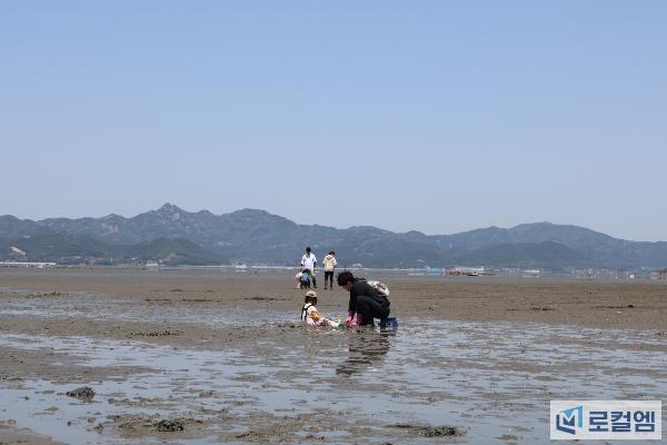 갯벌체험4.JPG