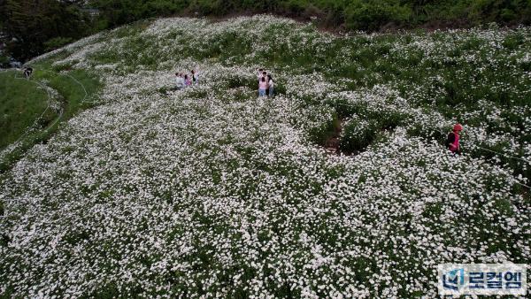DJI_01027.jpg