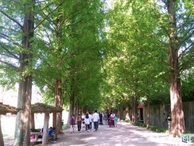 코레일관광개발, 담양군과 손잡고 관광 활성화 추진