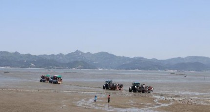 [로컬여행]고창 하전바지락 축제, 갯벌 체험·장어잡기·트랙터 퍼레이드 총정리