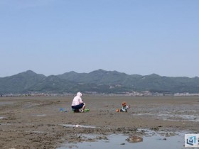 오감만족! '제 8회 고창 하전 바지락 오감체험 페스티벌' 영상 스케치