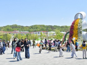18만명 다녀간 담양 대나무축제…'세계인 매료'