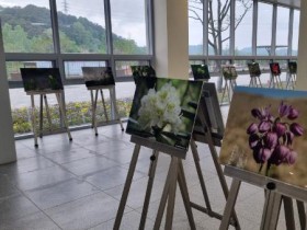 광주시립수목원서 꽃도 보고 “희귀 야생화 사진"도 감상