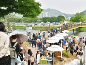 장성군 “축제는 끝났지만… 황룡강 봄꽃은 지금부터”