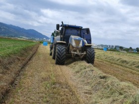 전남도, 고품질 조사료 생산에 1천4억 지원