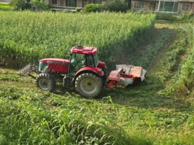 조사료 ha당 500만원…전남도 전략작물직불금 신청