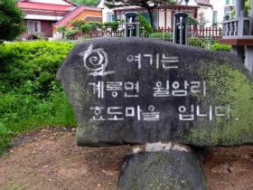 공주시 계룡면 효도마을회관에 둥지 튼 제비 부부