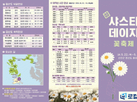 달걀 프라이 꽃? 신안 제1회 샤스타데이지 꽃 축제 개최