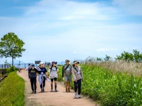 생명력 넘치는 남파랑길 따라 걷는 '순천만 씨워킹'