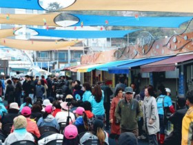 5월31일, 놓치면 손해 강진 ‘마량놀토’로 오세요