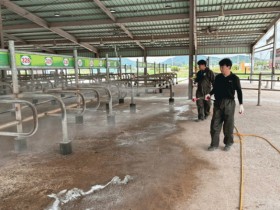 25일부터 가축시장 재개장…전남도, 무안 구제역 방역지역 이동제한 해제