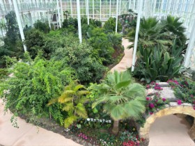 광주시립수목원 ″신비한 열대정원 수수께끼‶ 운영