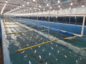 전남도, 김 육상양식 기술 개발로 K-김 브랜드화 선도