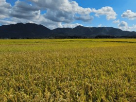 전남도, 친환경농자재 구입비 940억 지원