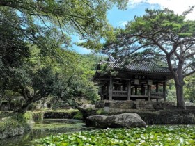 완도군, 보길도 윤선도 원림 3D 데이터 구현