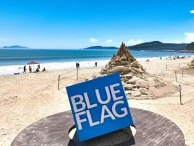 아시아 최초 8년 연속…완도 신지 명사십리, 블루 플래그 인증 획득